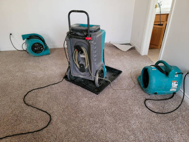Best Emergency water damage restoration  in Towaoc, CO