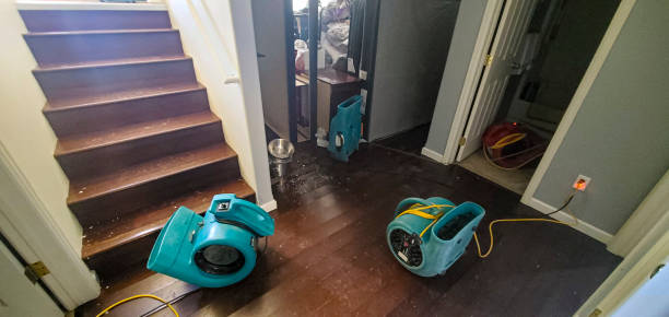 Best Flood damage cleanup  in Towaoc, CO