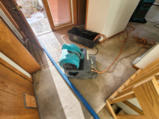 Best Sewage cleanup and water damage restoration  in Towaoc, CO