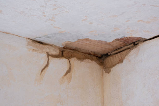 Best Fire Damage Restoration  in Towaoc, CO
