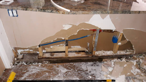 Best Professional water damage repair  in Towaoc, CO