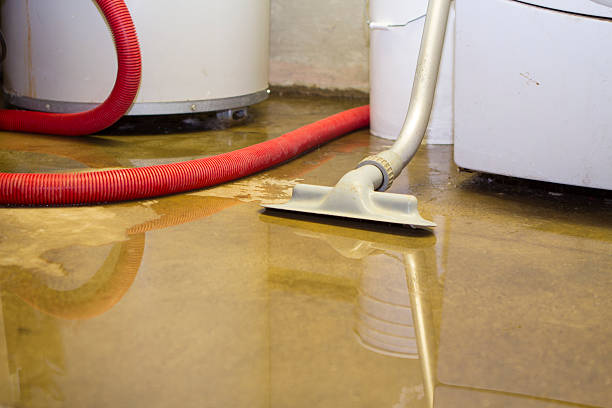 Best Flooded house restoration  in Towaoc, CO