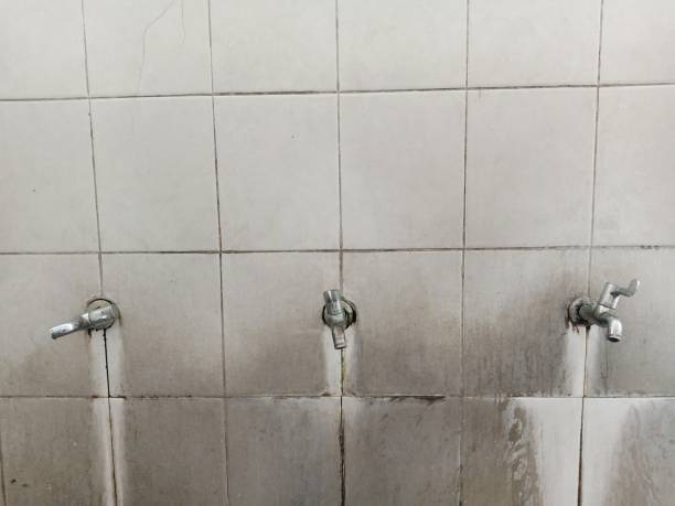 Best Flooded house restoration  in Towaoc, CO