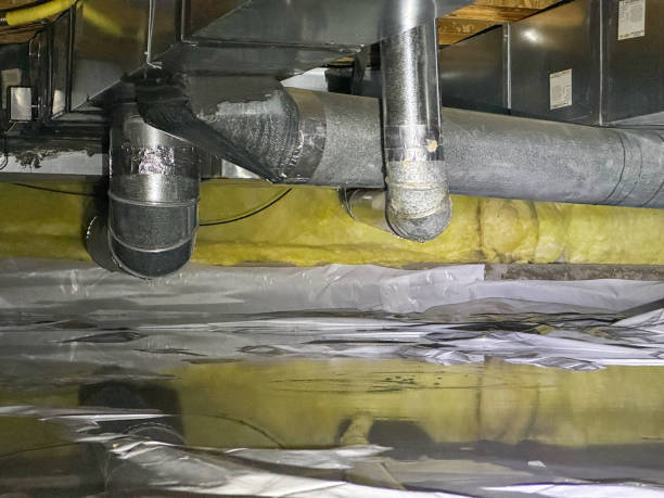 Best Residential water damage restoration  in Towaoc, CO
