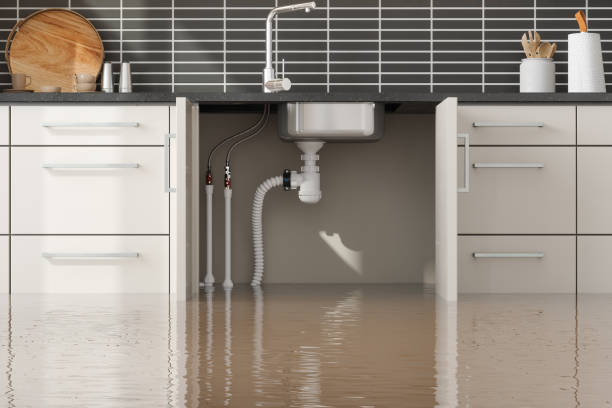 Best 24-hour water damage restoration  in Towaoc, CO